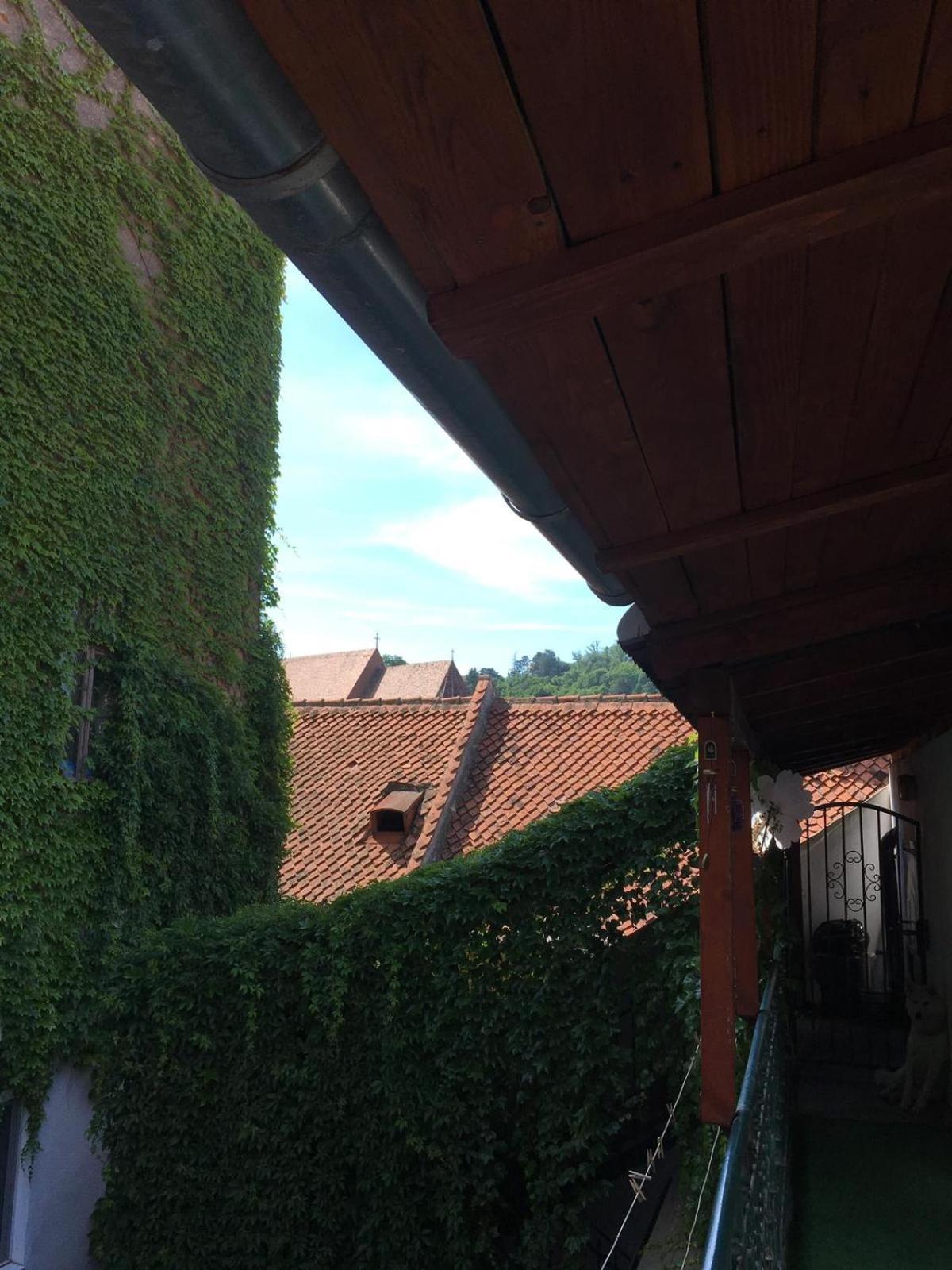 Castel Residence Braşov Exterior foto